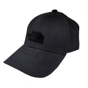 бейсболка the north face C0002